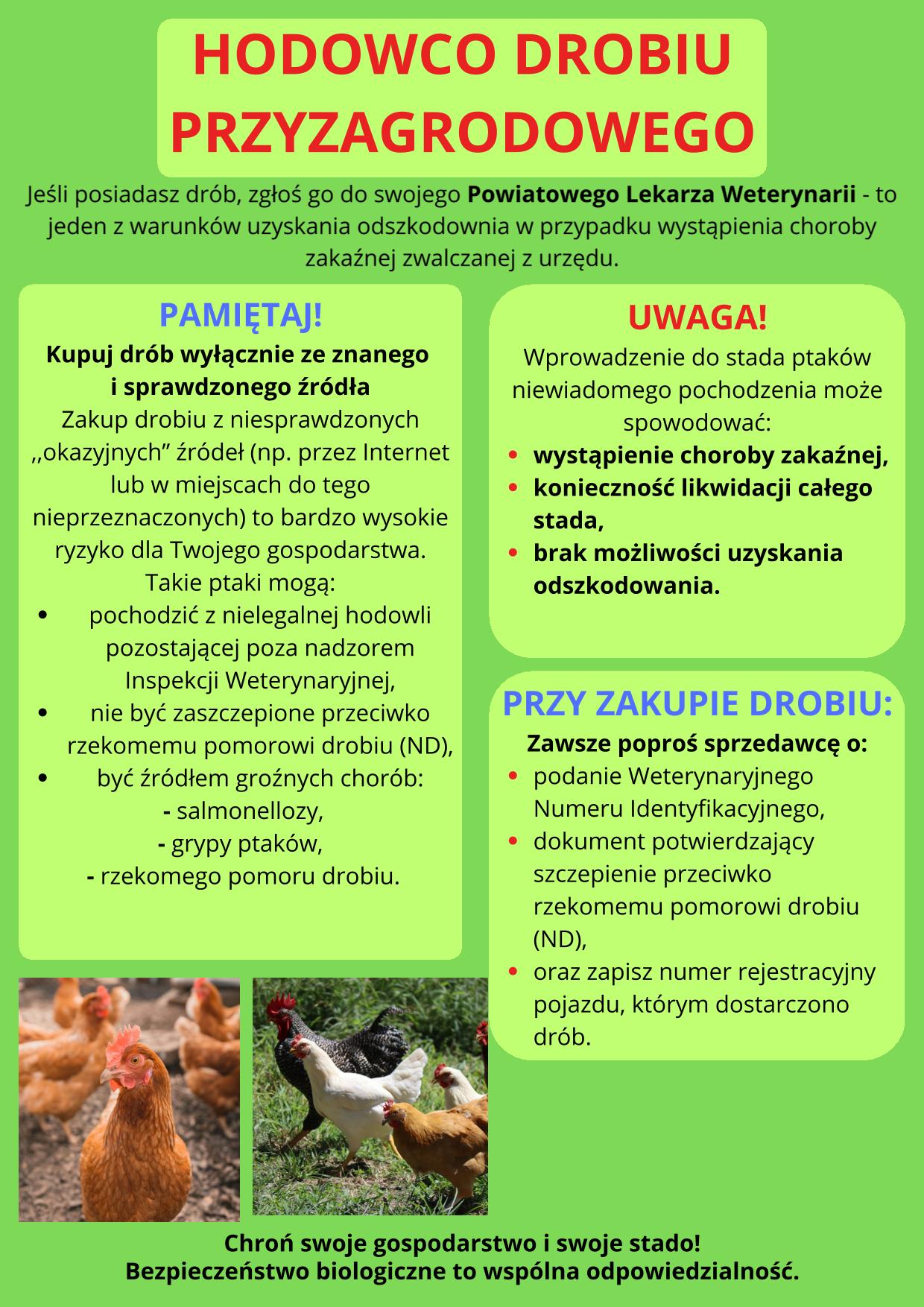 Ważne informacje dla Hodowcy Drobiu Przyzagrodowego